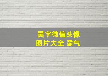 吴字微信头像图片大全 霸气